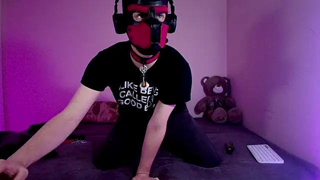 K9 GoodBoy online show from March 22, 5:40 pm