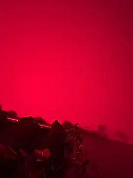 Jaybraconect online show from February 17, 10:14 am