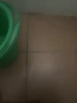 Snapshot of neekosam12 chatting on February 19, 4:47 pm neekosam12 online show from February 19, 4:47 pm