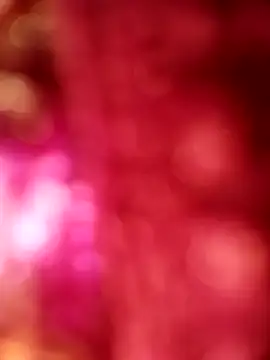 casadosafadoooo online show from March 11, 8:27 pm