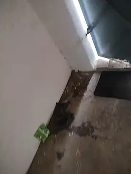 komaldesi online show from June 23, 2:16 am