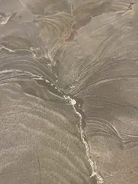 sharks90 online show from March 19, 5:10 am