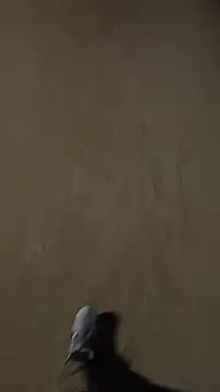 PublicMarekFlashDick online show from March 12, 6:04 pm