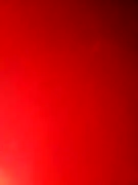 hobgkl online show from March 13, 6:54 am