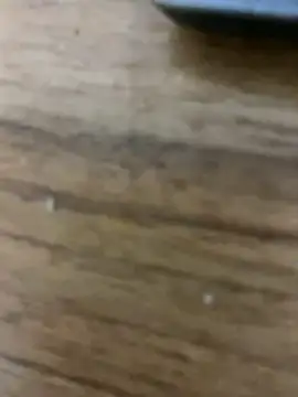 Chen1  online show from March 27, 5:14 pm