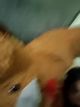 vishnu indian01 online show from March 30, 1:01 pm