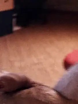 Marce9555 online show from June 28, 5:57 am