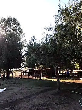 robredoj online show from February 5, 9:55 pm