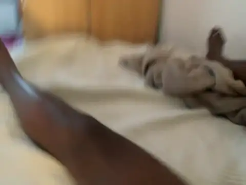 Blackbiger online show from August 5, 7:30 pm