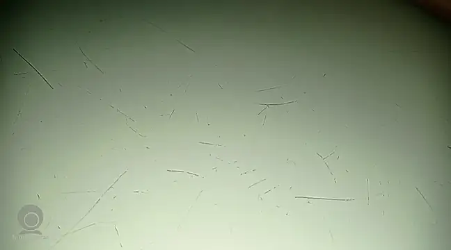 Just for trans online show from February 21, 3:10 pm