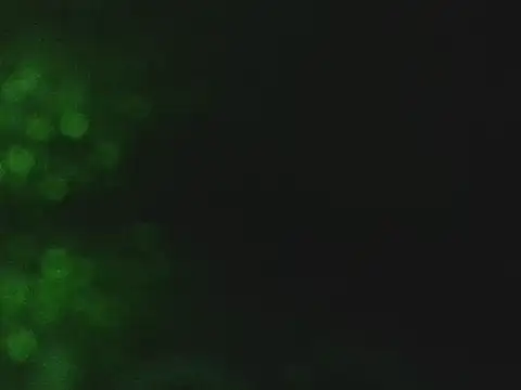 lonelycock33 online show from November 7, 9:40 pm