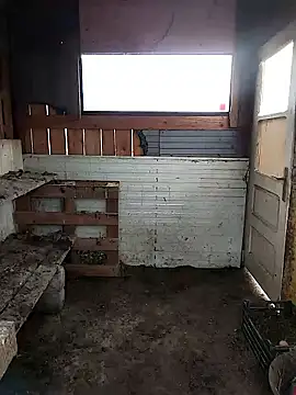 sarpe4 online show from February 28, 6:56 am