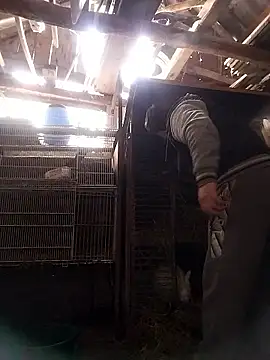 sarpe4 online show from January 10, 8:18 am