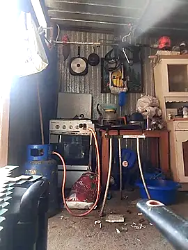 sarpe4 online show from April 14, 9:20 am