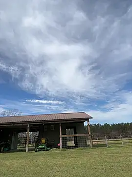 Sitonmyface2020xh online show from March 3, 3:46 pm