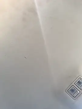 Tristris100 online show from December 23, 8:14 pm