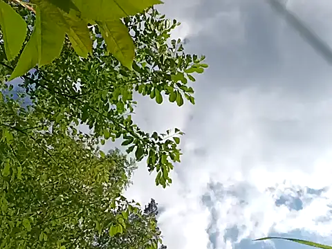 bigcock marusz online show from June 8, 3:02 pm