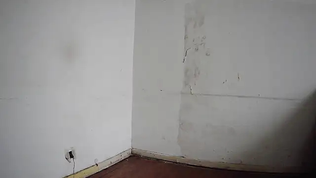 seoulsatxh online show from January 18, 8:40 pm