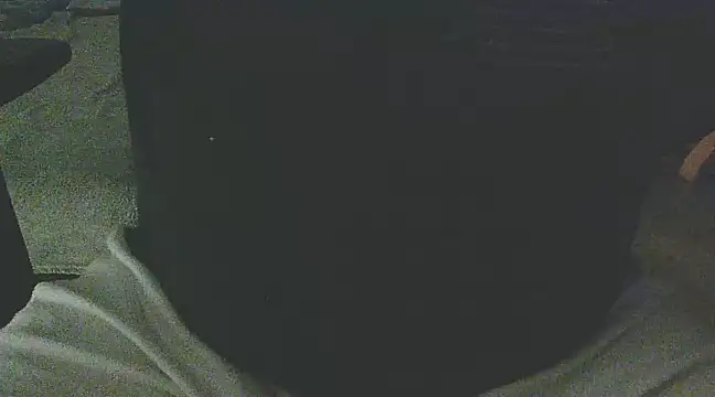 Snapshot of Palimy chatting on February 4, 11:16 pm Palimy online show from February 4, 11:16 pm