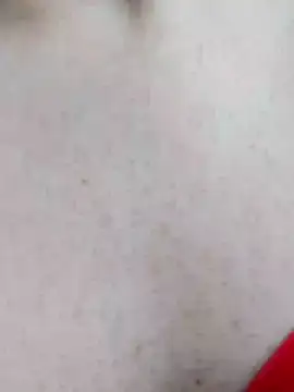 mister-dwt online show from December 19, 12:45 pm