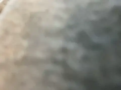 Snapshot of Prettyboiflaco chatting on February 13, 11:28 am Prettyboiflaco online show from February 13, 11:28 am