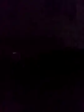 Bibcock2025 online show from October 5, 6:01 pm