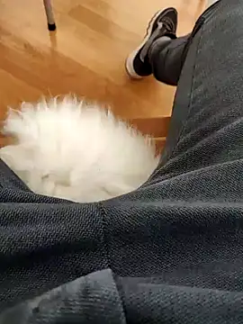 papiculo86 online show from February 2, 9:08 am