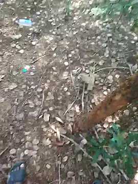 rameshmry1 online show from February 21, 8:59 am