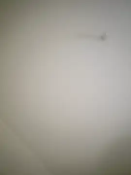 sile2000nou online show from November 1, 3:16 pm