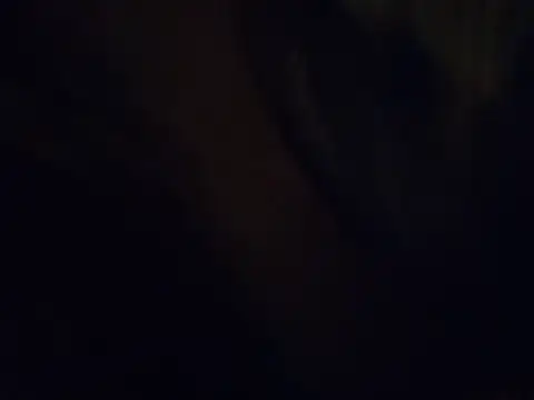 420pussylickr online show from July 30, 3:39 am