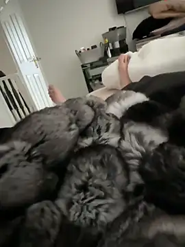 Furdale online show from March 15, 12:45 pm