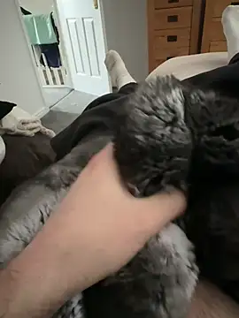 Furdale online show from April 8, 11:09 am