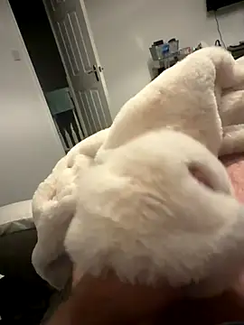 Furdale online show from November 6, 5:27 pm