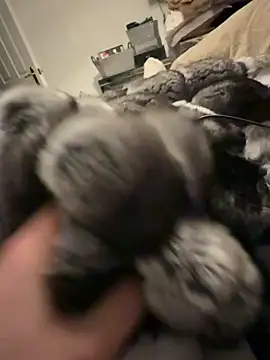 Furdale online show from February 20, 6:10 pm