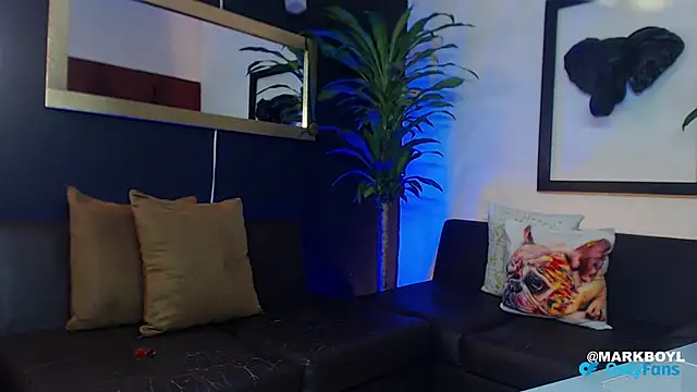 Markboyl online show from December 6, 2:28 pm