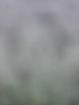 fuckineverett online show from March 15, 3:48 pm