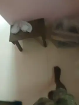 anjaanarun online show from November 10, 3:11 am