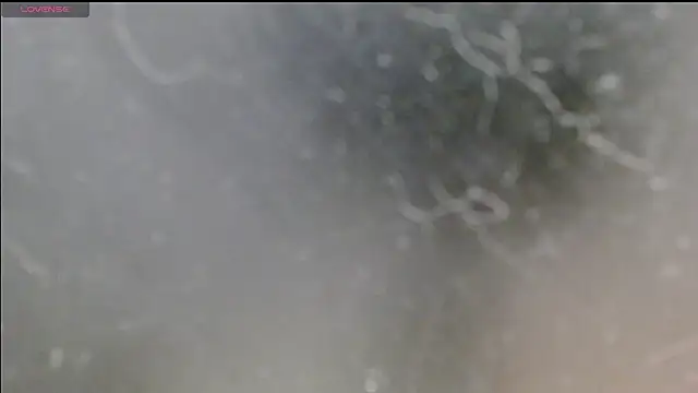 Aestheticguy101 online show from November 30, 1:24 pm