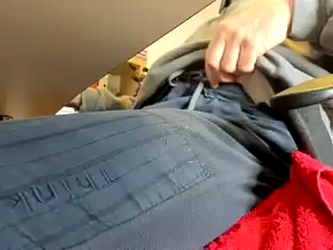 leccaleccafiga online show from January 20, 10:51 am