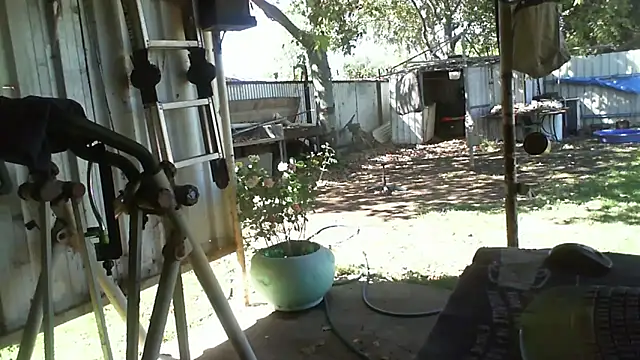 Snapshot of herbie010666 chatting on October 19, 5:01 am herbie010666 online show from October 19, 5:01 am