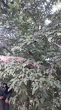 Rinku5553 online show from January 18, 2:07 am