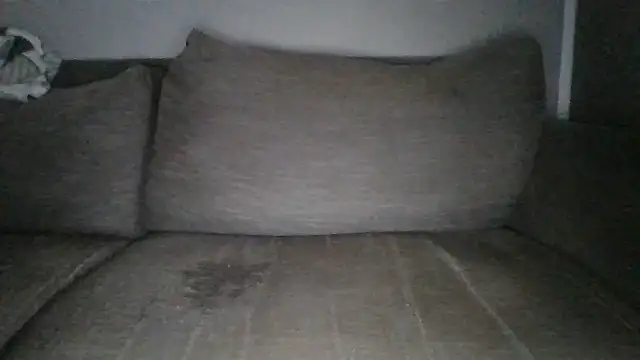 Anderrust online show from February 1, 10:59 am