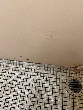 DreamerAsianGuy online show from December 25, 12:16 am