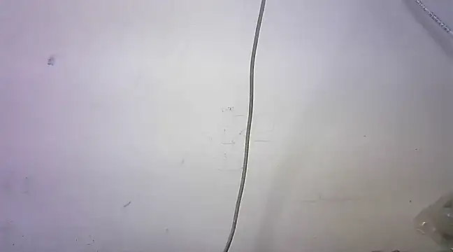 mrose8080 online show from March 6, 2:08 pm