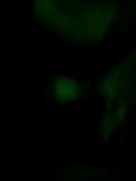 Vuyokaki online show from November 30, 2:35 am