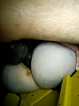 Bigcockmexi13 online show from March 23, 3:07 pm