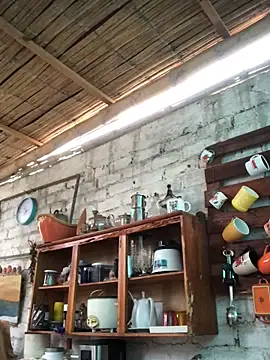 kvr27 online show from November 28, 11:45 am